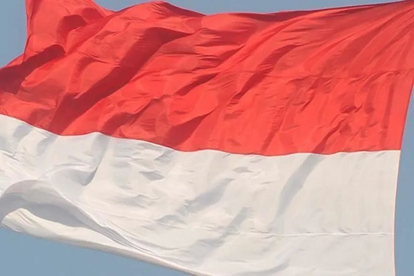 تنظيم مؤتمر