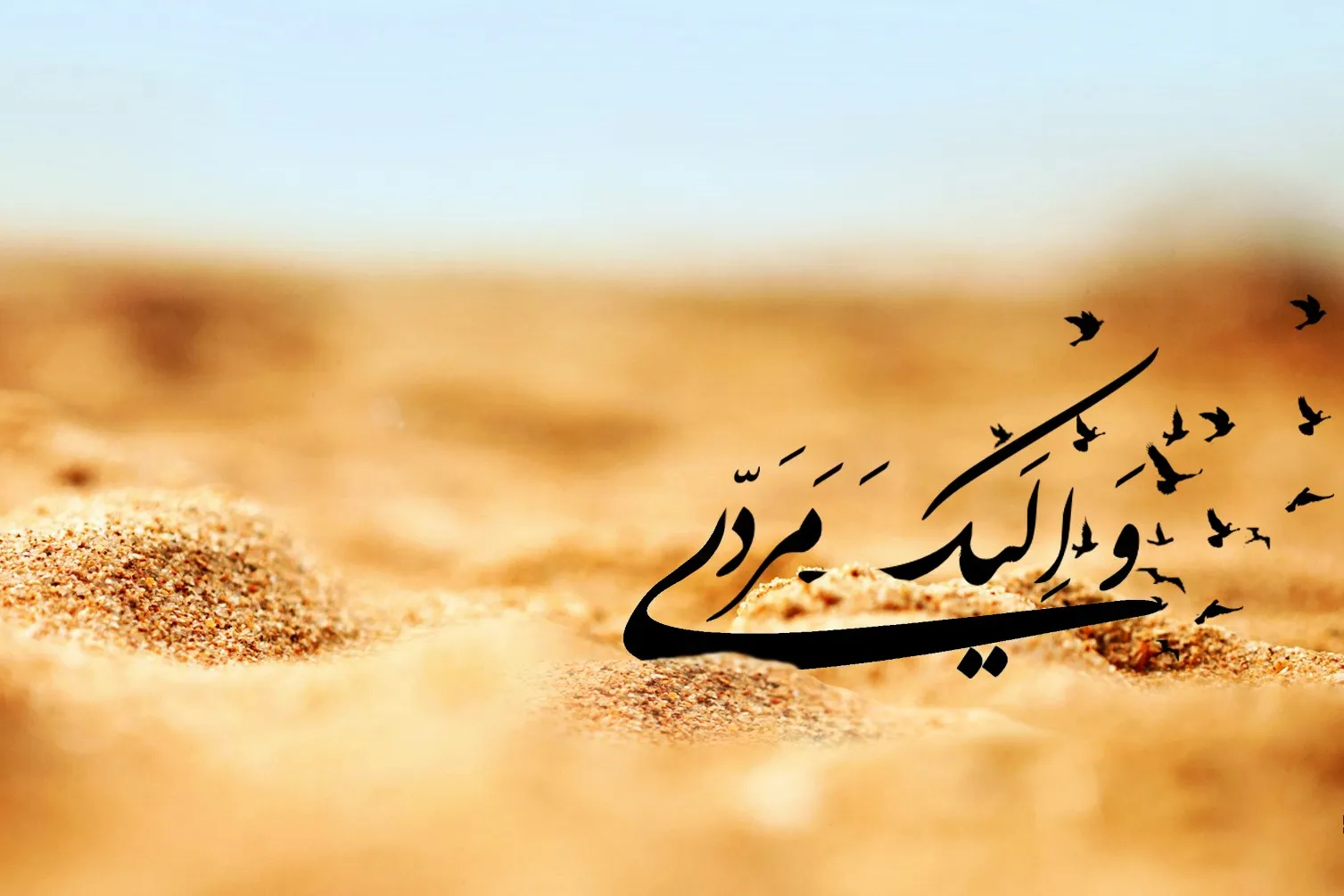 سیری بر فراز معرفت/ معارفی که خوب است پیش از دعای عرفه بدانیم