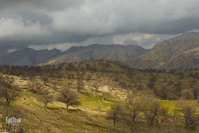 طبیعت شگفت انگیز خوزستان