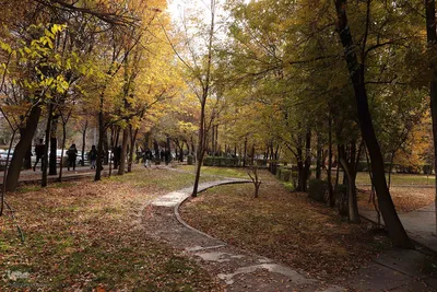 طبیعت پاییزی تبریز