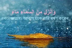 কোরআনের ভাষায় মানবজীবনে বৃষ্টি