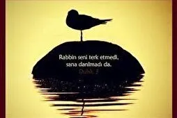 Quranın yetimlərə xüsusi diqqət yetirməsi