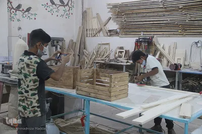 طرح بچه های «بلوط» شیراز