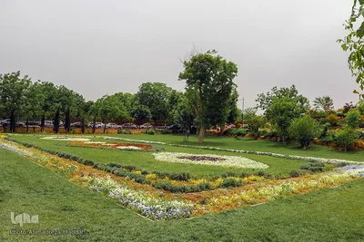 اردیبهشت در بهشت شیراز