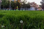 مدافعان پاکیزگی