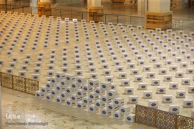 همدلی و احسان در شب ولادت کریم اهل بیت