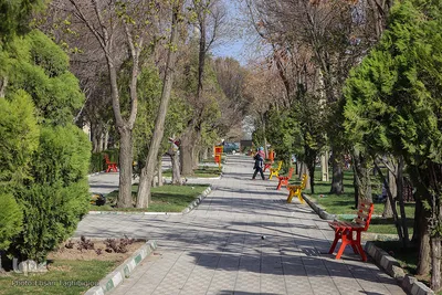 روز طبیعت در زنجان