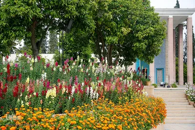 اول اردیبهشت روز سعدی شیرازی‎‎