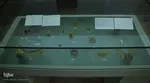 شب جلال الدین همایی‎‎
