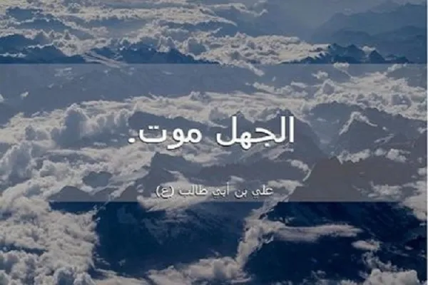 منْ جَهِلَ أَهْمَلَ