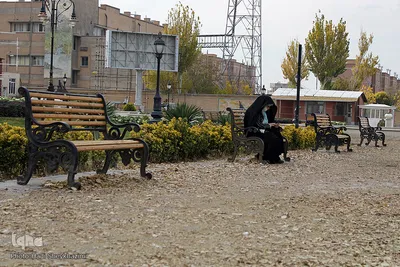 تبریز برگ‌ریز