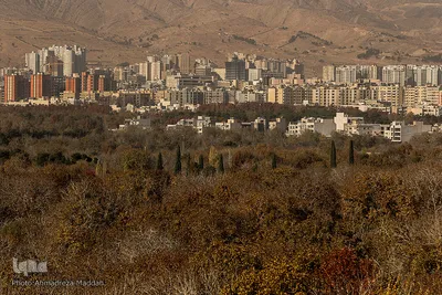 پاییز در باغ‌های بلوار شهید چمران شیراز‎‎