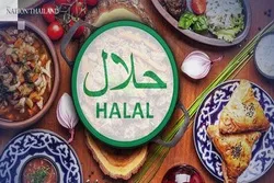 Thailand Halal Industry Poised for Strong Growth