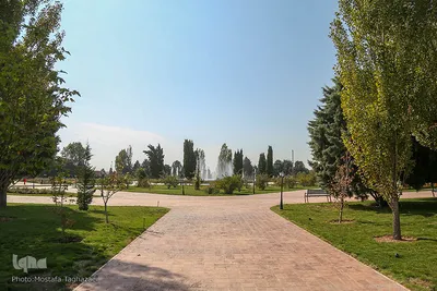 باغ گیاه شناسی ملی ایران