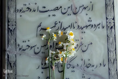 غبارروبی و عطرافشانی مزار شهدا با گل نرگس ـ بهبهان