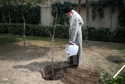 کاشت نهال در روز درختکاری