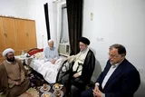 عکس | دیدار عیدانه آیت‌الله نورمفیدی با علمای اهل‌سنت