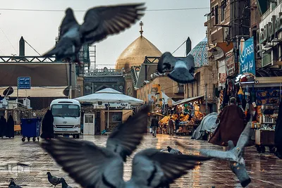 آستان مقدس امام علی(ع)