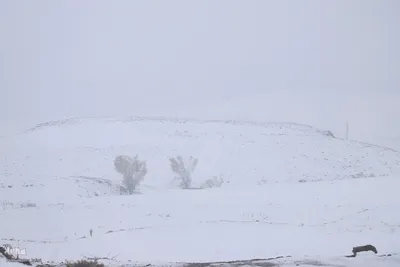 زمستان در بهار منطقه ارسباران