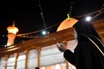 شام شهادت امام رضا(ع)‎