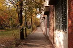 طبیعت پاییزی تبریز