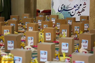 طرح جهادی شهید محسن جعفری - شیراز