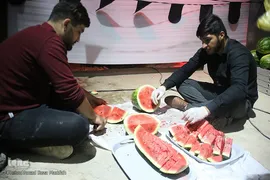 برپایی موکب حضرت رقیه (س) در جوار شهدای گمنام شیراز