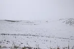 زمستان در بهار منطقه ارسباران