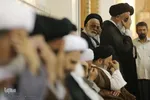 مراسم بزرگداشت آیت الله محمد آصف محسنی(ره) در حرم حضرت معصومه(س)
