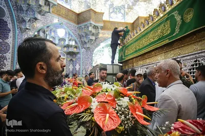گل آرایی ضریح حضرت معصومه در آستانه سالروز ورود بانوی کرامت