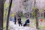 آخرین روز‌های پاییز در دانشگاه اصفهان