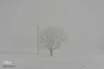 اصفهان در آغوش زمستان