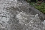 بارش باران در بیرجند