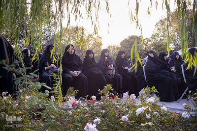 گلزار شهدای تهران، در روز شهادت امام رئوف