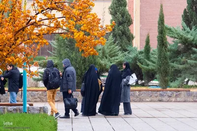 آخرین روز‌های پاییز در دانشگاه اصفهان
