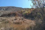طبیعت زیبای پاییزی رشته کوه‌های جنوبی اهر