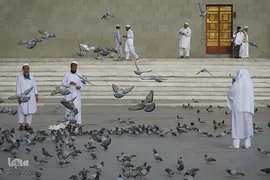 زیارت «دوره» مدینه منوره