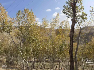 طبیعت بکر و پاییزی روستای انجرد شهرستان اهر