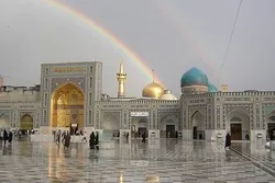 خدا کے دین کے محافظ اور حافظ قرآن حضرت امام رضا علیہ السلام
