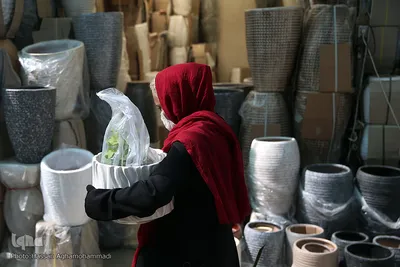 بازار گل شهید محلاتی در روز ملی گل