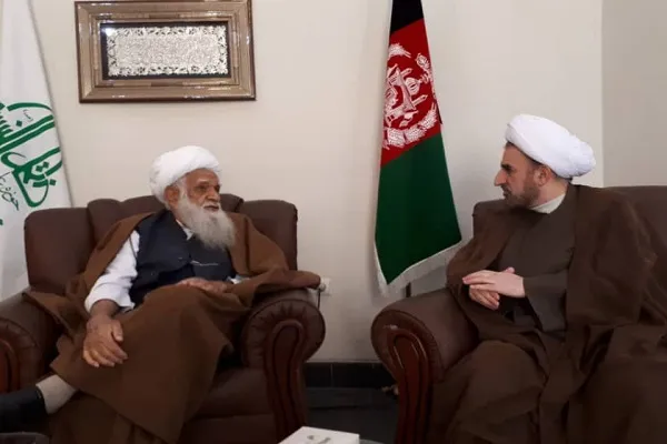 آیت‌الله «محسنی» مجاهدی خستگی‌ناپذیر بود