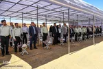 امحا مواد مخدر در البرز‎
