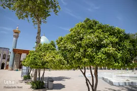 بهار در بهشت