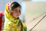 کتابخانه‌ سیار در منطقه عشایری نفت سفید