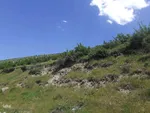 طبیعت بکر و زیبای منطقه گردشگری فندقلوی اهر