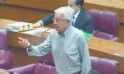 اسامہ بن لادن کو 'شہید' قرار دینے پر اپوزیشن، وزیراعظم پر برس پڑی