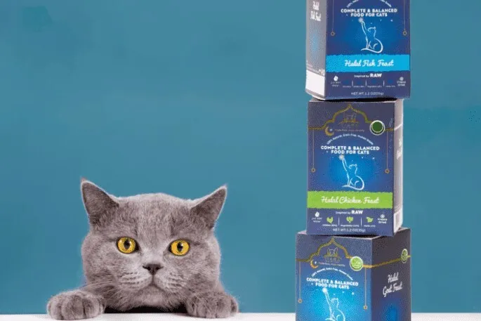 Quand le halal s’invite dans la gamelle des animaux : une idée saugrenue ou un marché en or ?