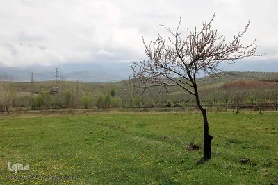 طبیعت بهاری شهرستان اهر در یک نگاه