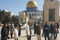 Lebih dari 20 Kasus Penistaan Kesucian Masjid Al-Aqsa dalam Satu Bulan