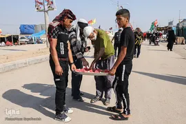 زائران و موکب‌داران در پایانه مرزی چذابه